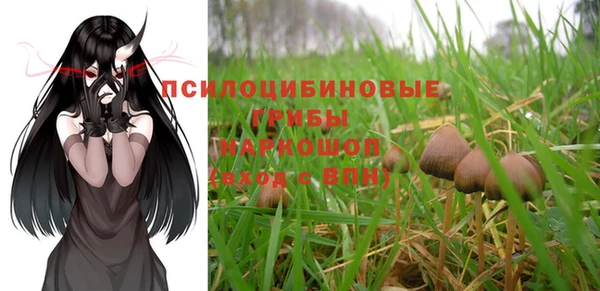 дмт Арсеньев