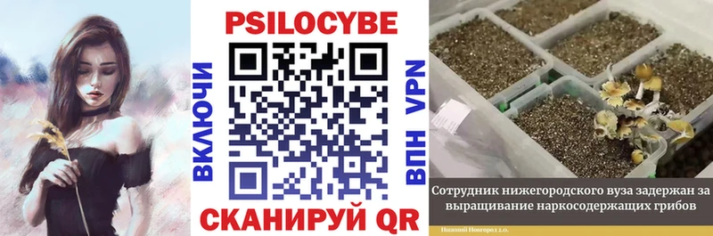 Галлюциногенные грибы MAGIC MUSHROOMS  Чайковский 