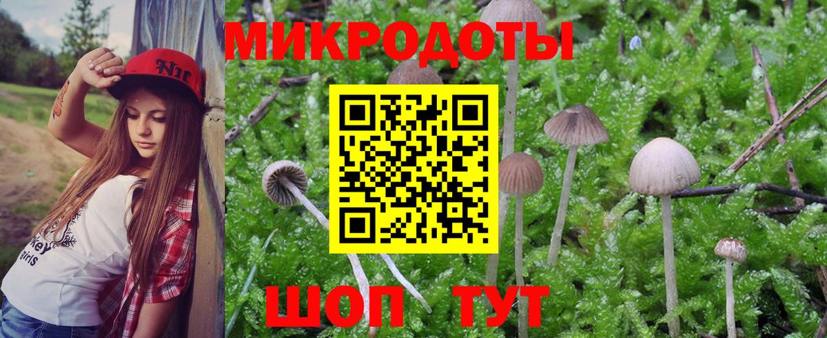 магазин продажи наркотиков  Псилоцибиновые грибы Magic Shrooms  Вход с VPN  Чайковский 