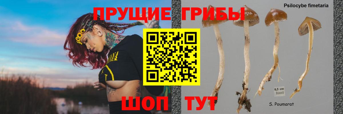 Галлюциногенные грибы MAGIC MUSHROOMS Чайковский